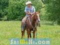 westernoutlaw Free Online Date Site