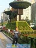 dating BeiJing, China